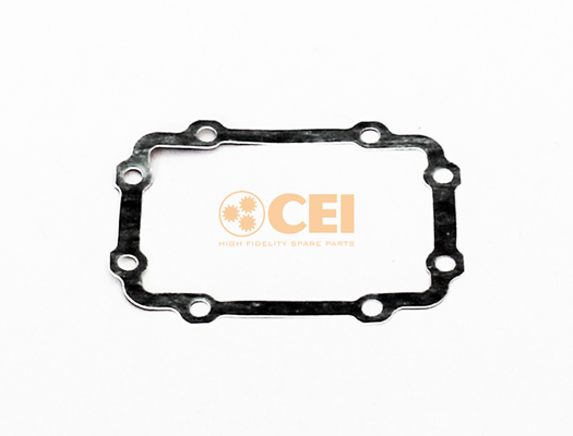 Versnellingsbakas dichtingsring C.E.I. 139.689