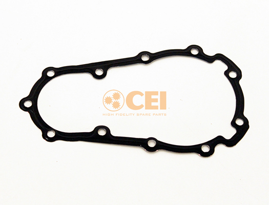 Versnellingsbakas dichtingsring C.E.I. 139.962