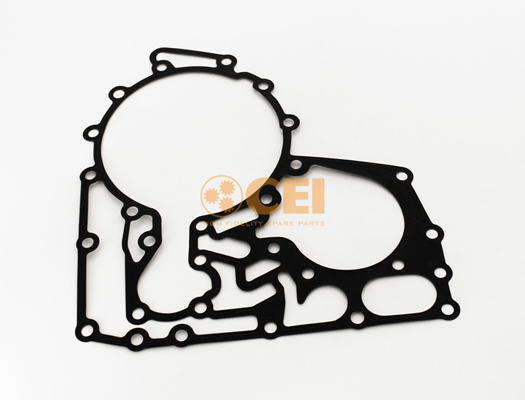 Versnellingsbakas dichtingsring C.E.I. 139.991
