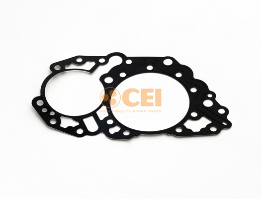 Versnellingsbakas dichtingsring C.E.I. 239.324