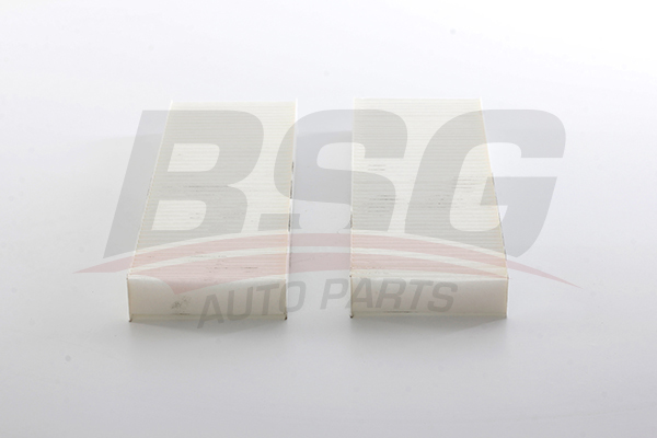 BSG Interieurfilter BSG 11-145-001