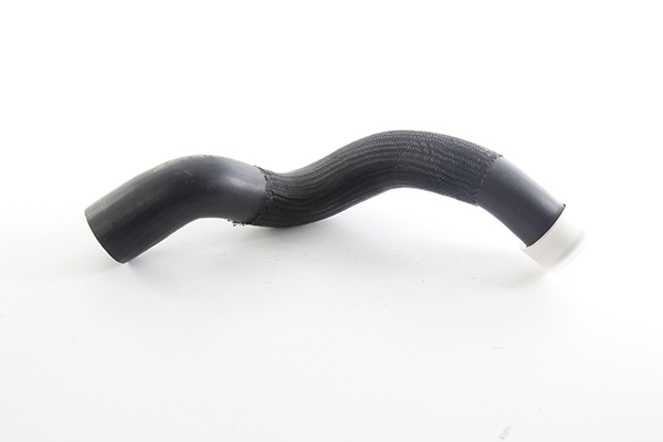 BSG Laadlucht-/turboslang BSG 11-720-007