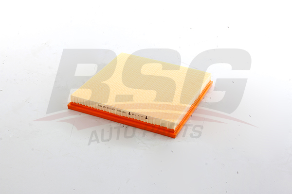 BSG Luchtfilter BSG 15-135-034