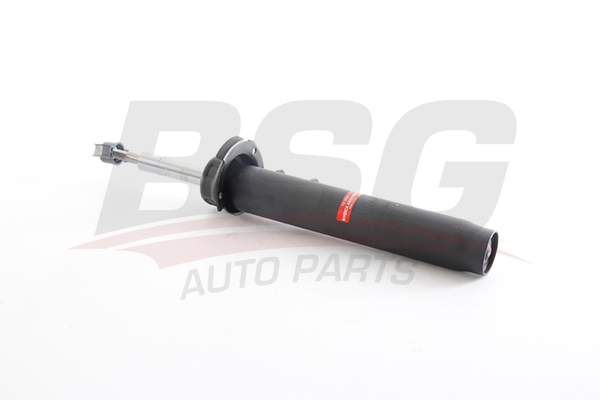 BSG Schokdemper BSG 15-300-064