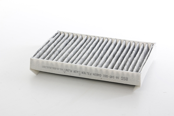BSG Interieurfilter BSG 16-145-001