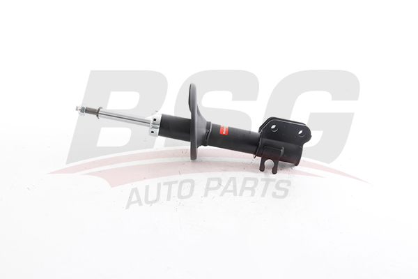 BSG Schokdemper BSG 16-300-022