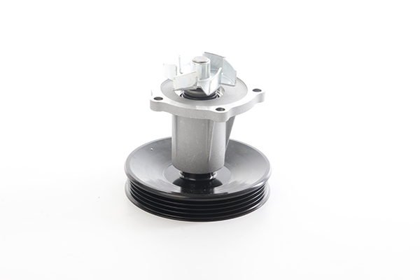 BSG Waterpomp BSG 16-500-005