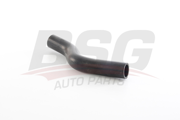 BSG Radiateurslang BSG 16-720-018