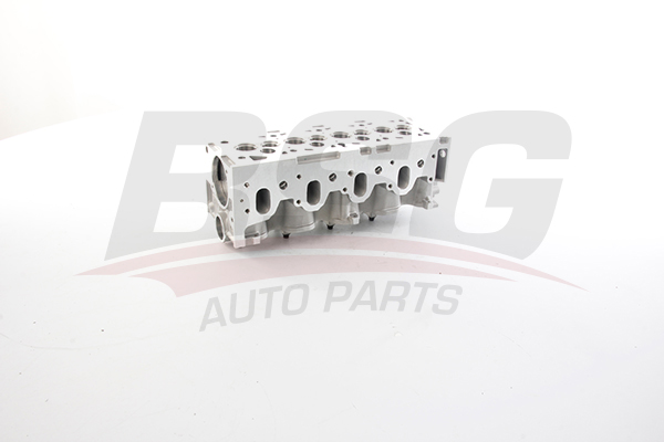 BSG Cilinderkop BSG 25-110-006