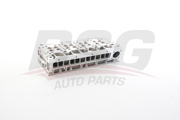 BSG Cilinderkop BSG 25-110-008