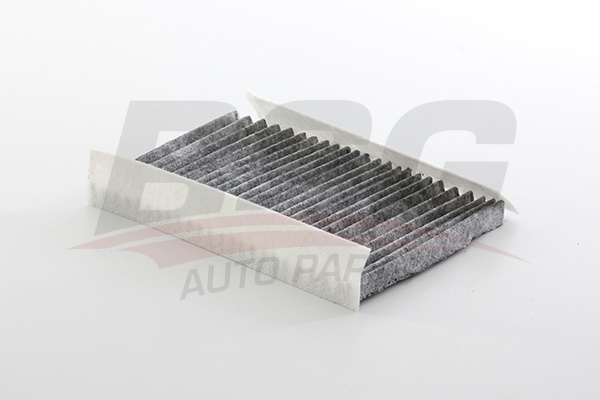 BSG Interieurfilter BSG 25-145-020