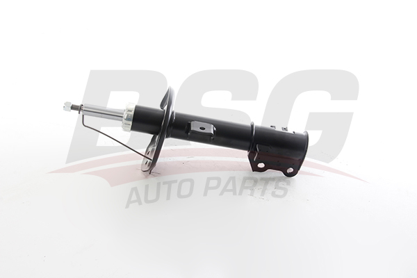 BSG Schokdemper BSG 25-300-023