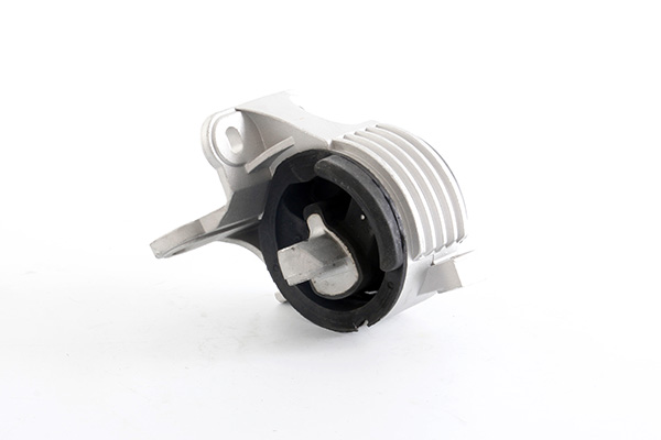 Ophangrubber automaatbak BSG BSG 30-700-489