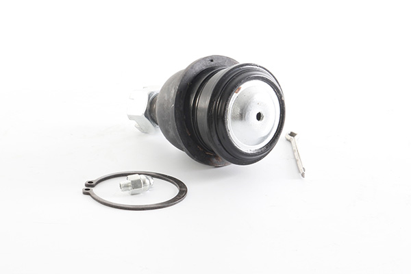 Fuseekogel BSG BSG 63-310-012