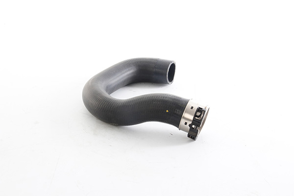 Laadlucht-/turboslang BSG BSG 65-700-346