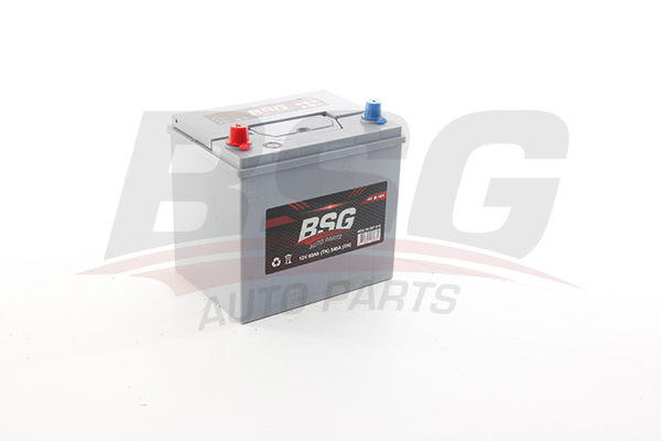 BSG Accu BSG 99-997-018