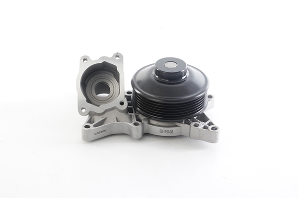 Waterpomp BSG BSG 15-500-045