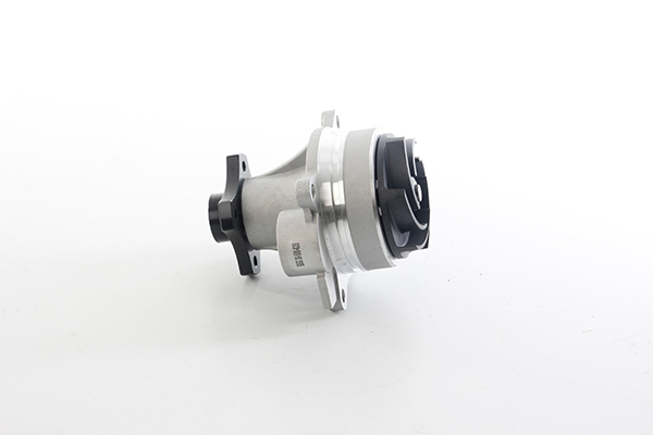 Waterpomp BSG BSG 30-500-028