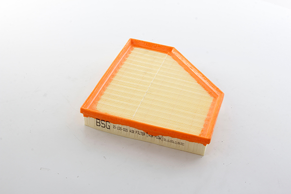 Luchtfilter BSG BSG 15-135-035