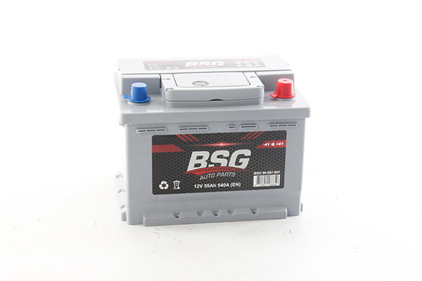 Accu BSG BSG 99-997-007 Accu BSG BSG 99-997-007