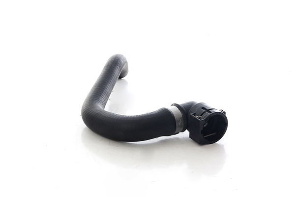 Radiateurslang BSG BSG 25-720-031