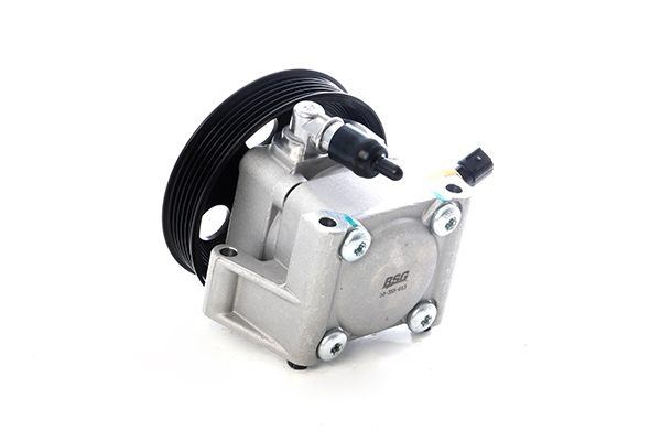 Servopomp BSG BSG 30-355-013