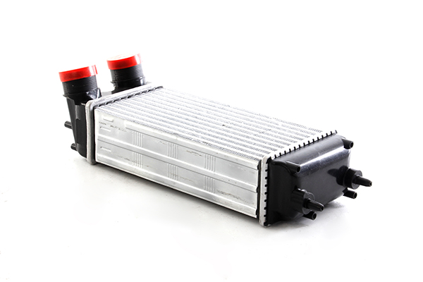 Interkoeler BSG BSG 30-535-012 Interkoeler BSG BSG 30-535-012