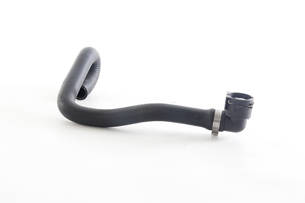 Radiateurslang BSG BSG 30-720-081