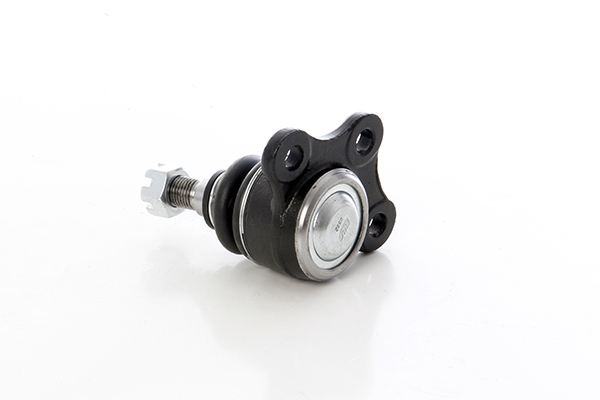 Fuseekogel BSG BSG 41-310-001 Fuseekogel BSG BSG 41-310-001