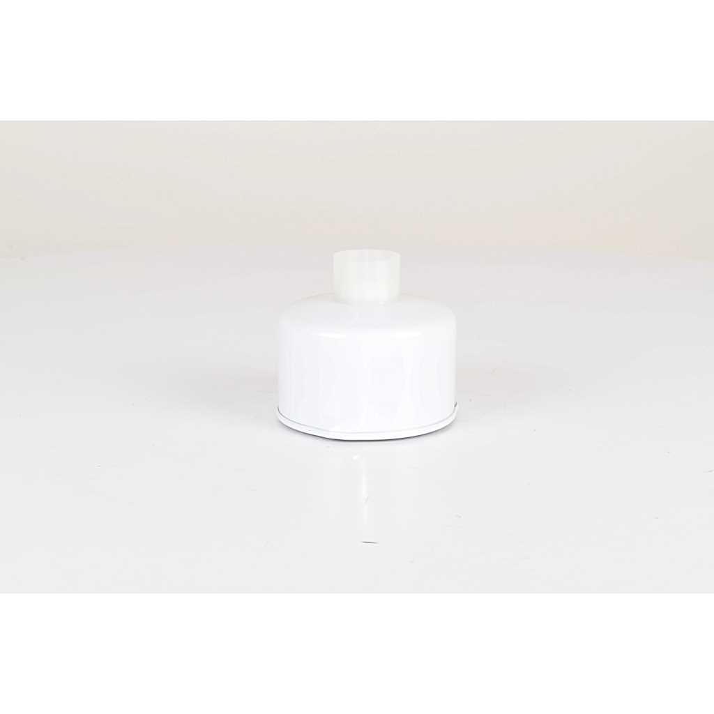 Brandstoffilter BSG BSG 15-130-008