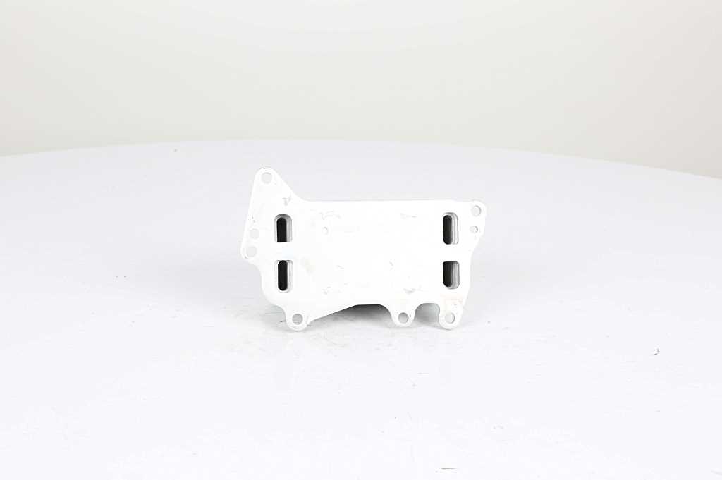 Oliekoeler motorolie BSG BSG 15-506-015 Oliekoeler motorolie BSG BSG 15-506-015