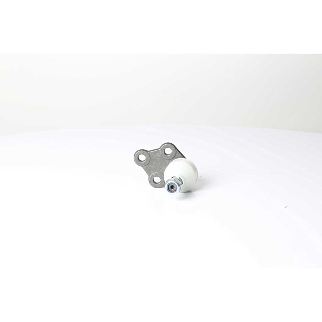 Fuseekogel BSG BSG 60-310-289 Fuseekogel BSG BSG 60-310-289