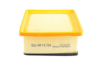 Luchtfilter BSG BSG 70-135-001