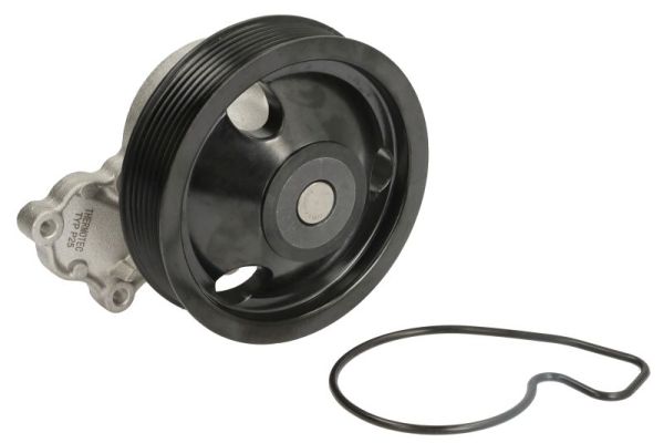 Thermotec Waterpomp D14058TT