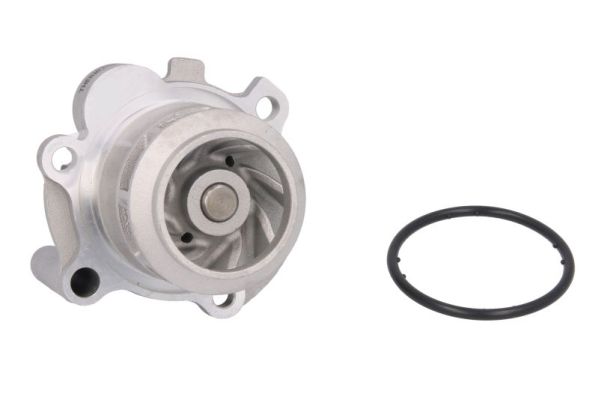 Thermotec Waterpomp D1W042TT