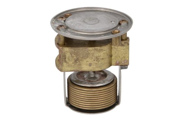 Thermotec Thermostaat, koelvloeistof D2AU001TT