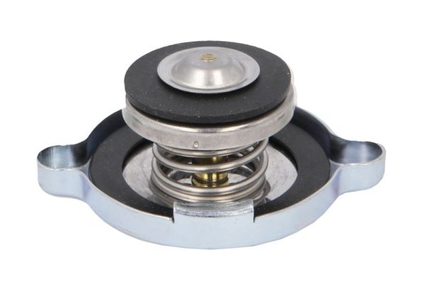 Thermotec Radiateurdop D30012TT