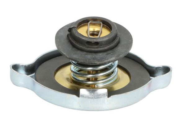 Thermotec Radiateurdop D30014TT