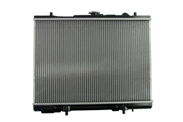 Thermotec Radiateur D75014TT