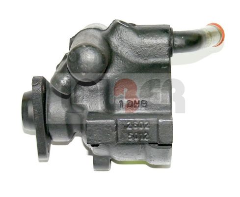 Lauber Servopomp 55.0205