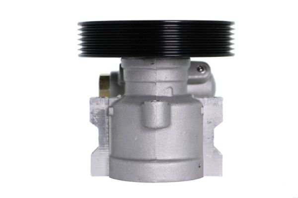Lauber Servopomp 55.0366