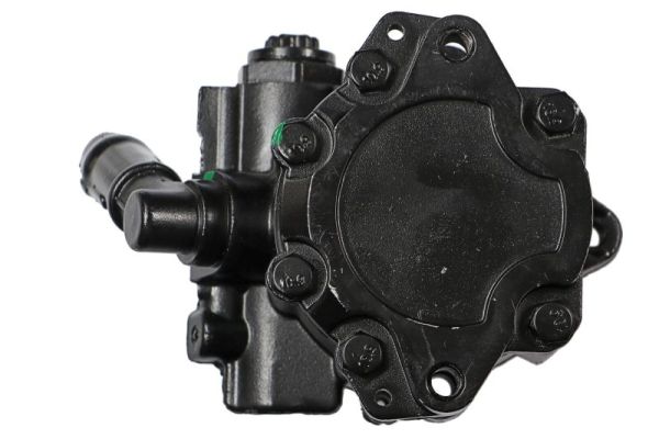 Lauber Servopomp 55.0499