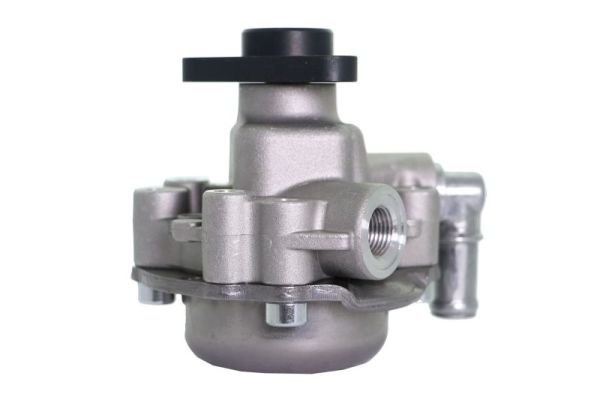 Lauber Servopomp 55.0621
