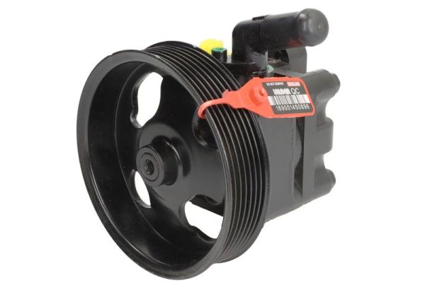 Lauber Servo pomp 55.9947