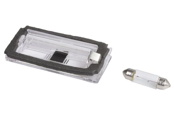 Blic Kentekenlamp 5402-003-07-905