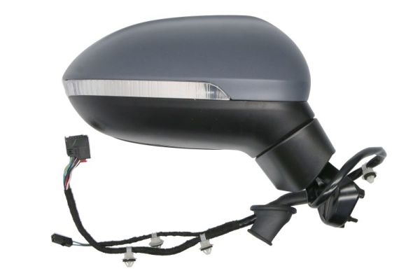 Blic Buitenspiegel 5402-01-1585313P