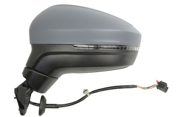 Blic Buitenspiegel 5402-01-1609310P