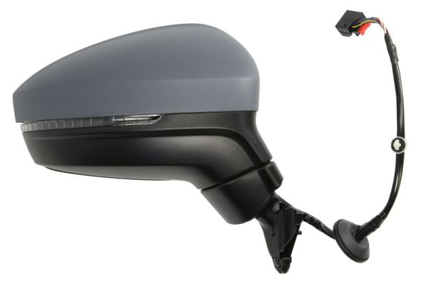 Blic Buitenspiegel 5402-01-1609311P