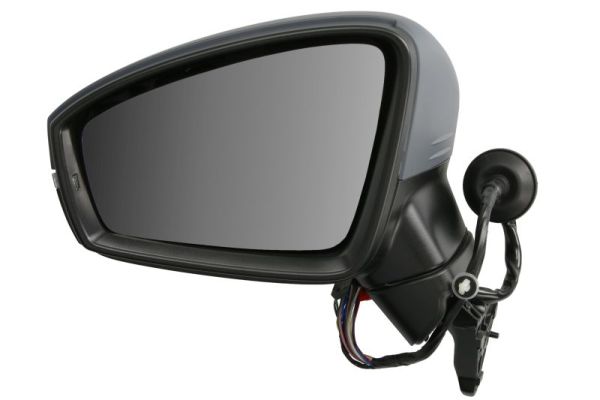 Blic Buitenspiegel 5402-01-1609312P