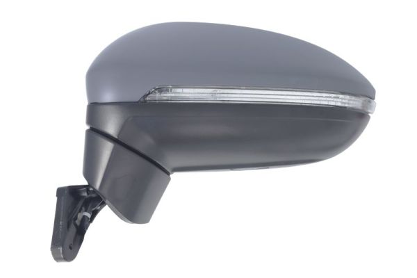 Blic Buitenspiegel 5402-01-1617310P